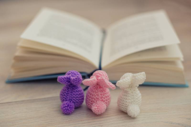 Little bunnies in front of a book
